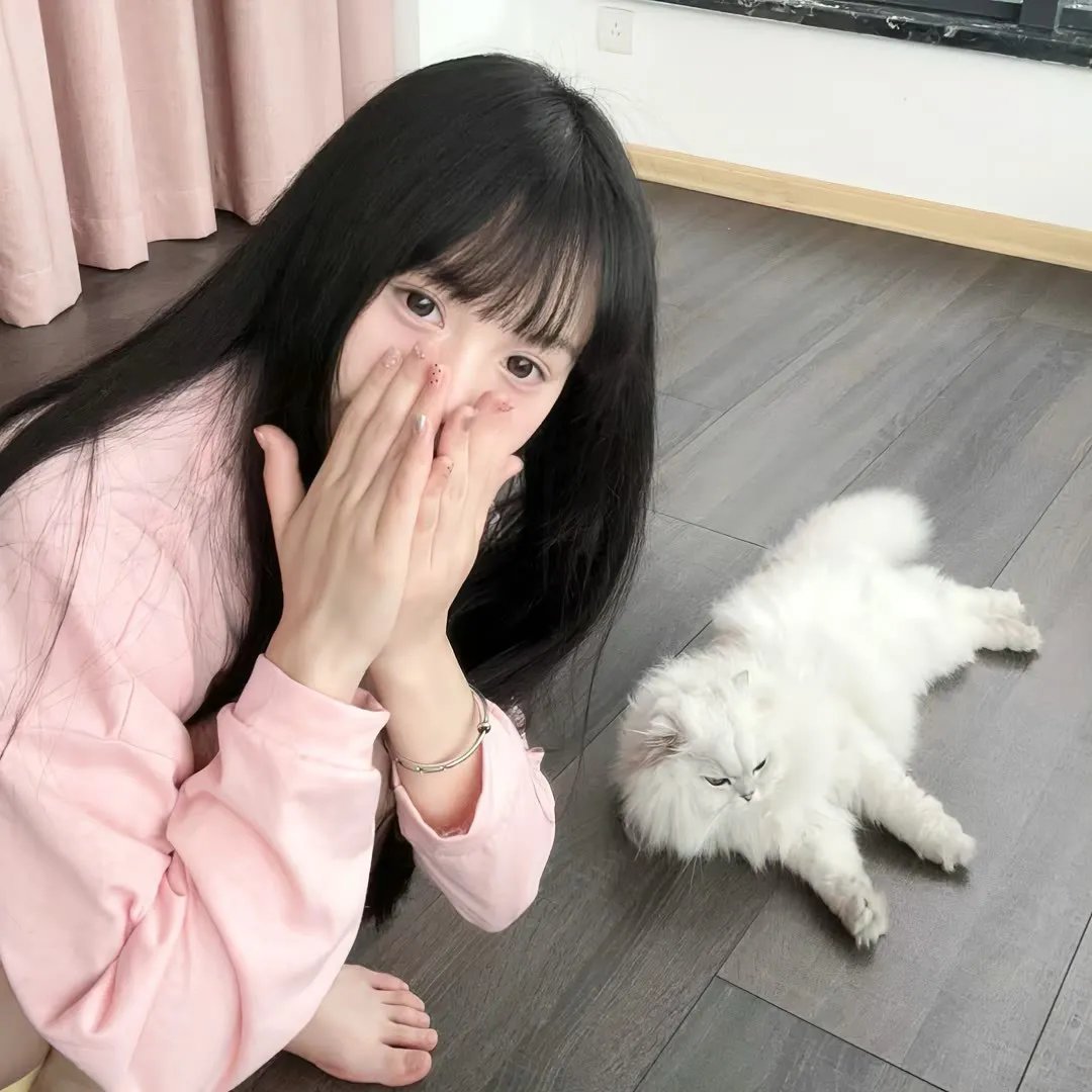 状王宋世杰粤语